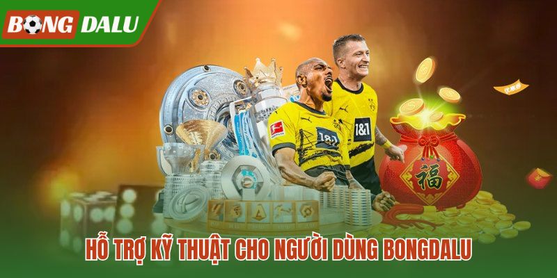 Liên hệ kỹ thuật cho lỗi tỷ số và giao diện