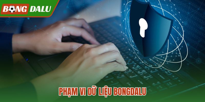 Chính sách bảo mật và ranh giới dữ liệu truy cập Bongdalu