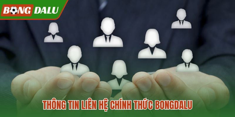 Bảng liên hệ chính thức cho từng yêu cầu Bongdalu